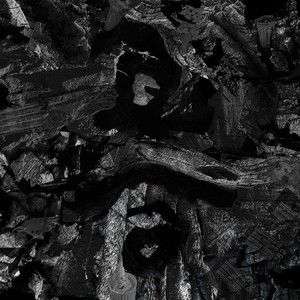 冲出亚马逊之越南女子别动队全军覆没
