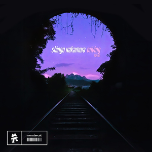 冲出亚马逊之越南女子别动队全军覆没
