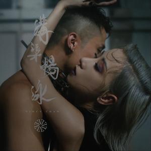 冲出亚马逊之越南女子别动队全军覆没
