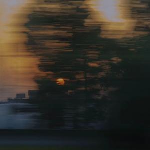 冲出亚马逊之越南女子别动队全军覆没
