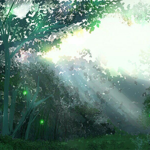 冲出亚马逊之越南女子别动队全军覆没
